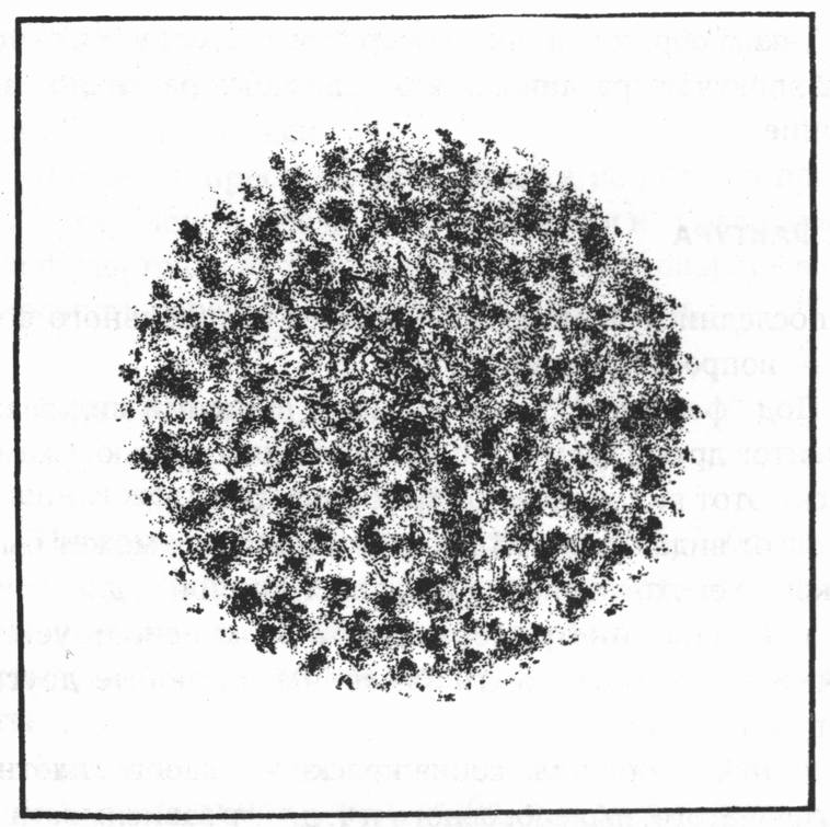 Рис. 12. Центральный комплекс свободных точек Рис. 12. Центральный комплекс свободных точек