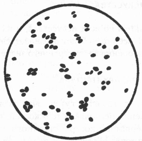 Рис. 6. Образование нитритов. Увеличение в 1000 раз ('Kultur der Gegenwart'. Т. III, Abtlg. IV, 3. S. 71) Рис. 6. Образование нитритов. Увеличение в 1000 раз ('Kultur der Gegenwart'. Т. III, Abtlg. IV, 3. S. 71)