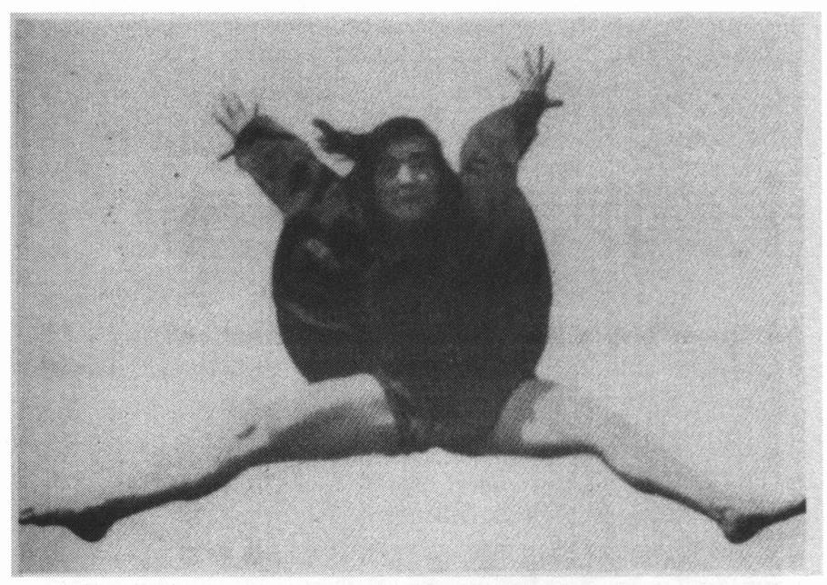 Рис. 9. Прыжок танцовщицы Палукки Рис. 9. Прыжок танцовщицы Палукки